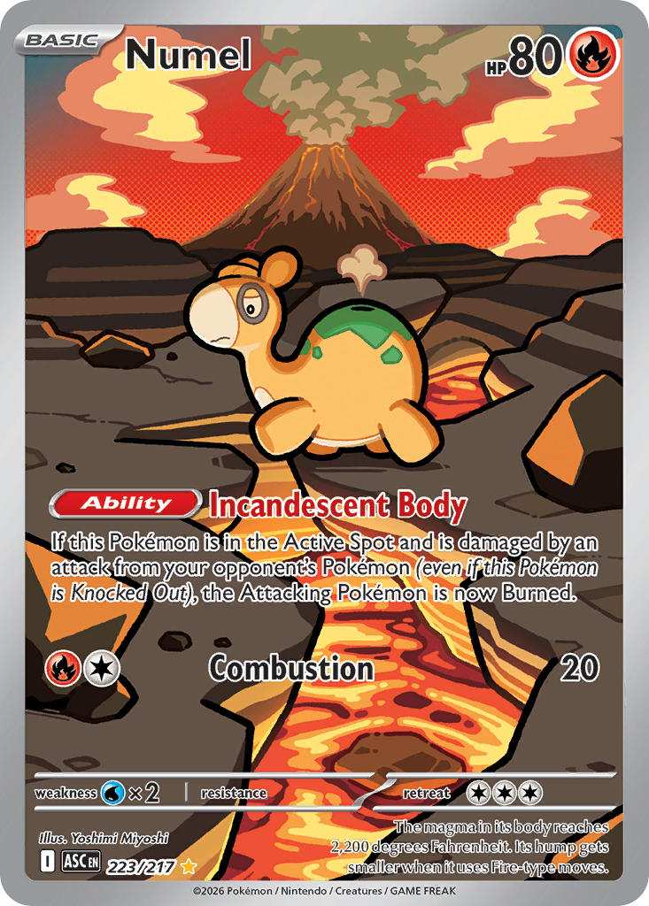 Numel 223/217 - POKEMON MEGA EVOLUTION: ASCENDED HEROES - Pokemon Single Card