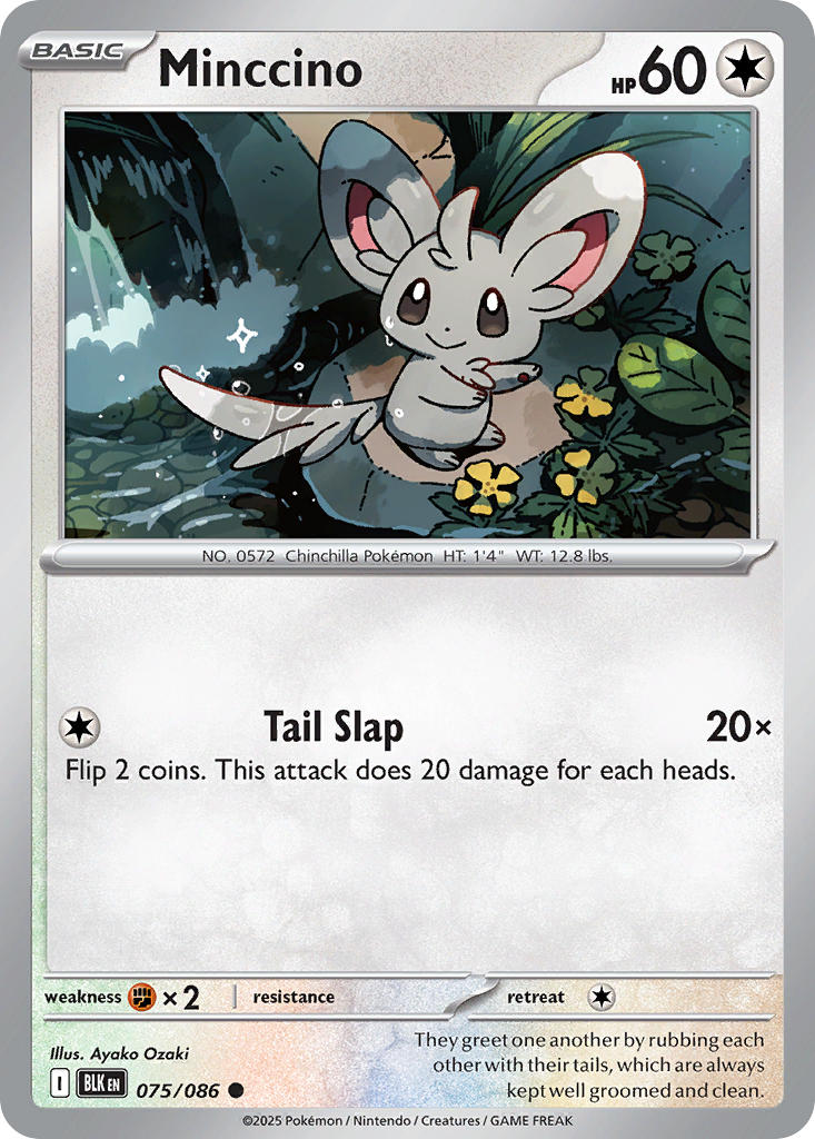 Minccino 075/086 - POKEMON SCARLET & VIOLET: BLACK BOLT