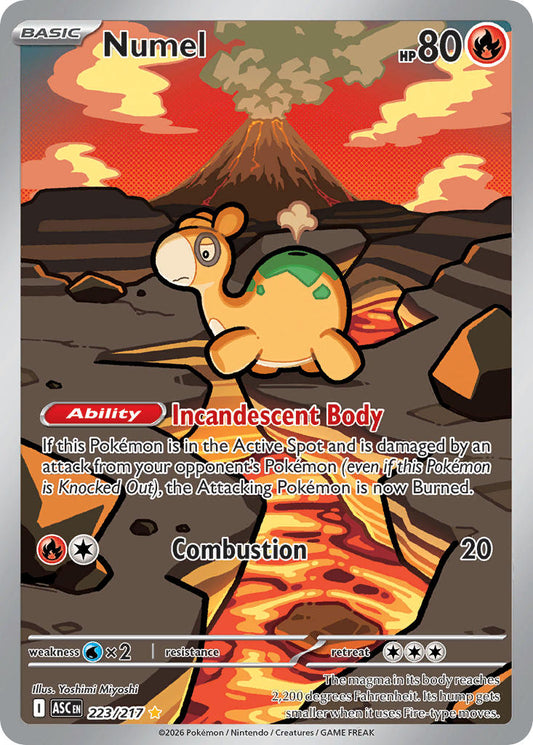 Numel 223/217 - POKEMON MEGA EVOLUTION: ASCENDED HEROES - Pokemon Single Card