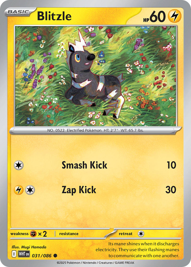 Blitzle 031/086 - POKEMON SCARLET & VIOLET: WHITE FLARE