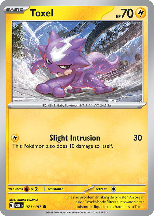 071/197 Toxel - SCARLET AND VIOLET: OBSIDIAN FLAMES - Pokemon Single Card