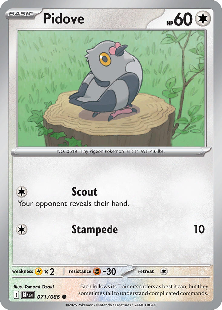Pidove 071/086 - POKEMON SCARLET & VIOLET: BLACK BOLT