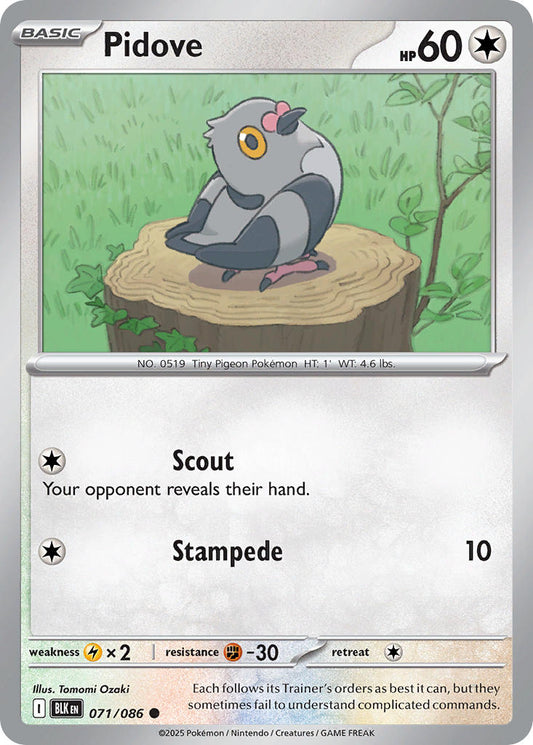 Pidove 071/086 - POKEMON SCARLET & VIOLET: BLACK BOLT