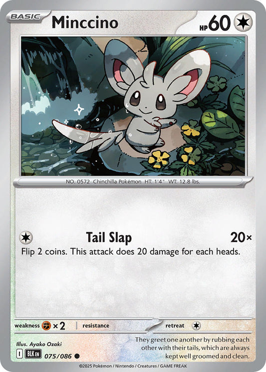 Minccino 075/086 - POKEMON SCARLET & VIOLET: BLACK BOLT